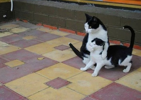 4. Вам всегда приходилось быть настороже, ведь эта пузатая мелочь запоминает все плохие слова, а потом бежит сдавать вас родителям