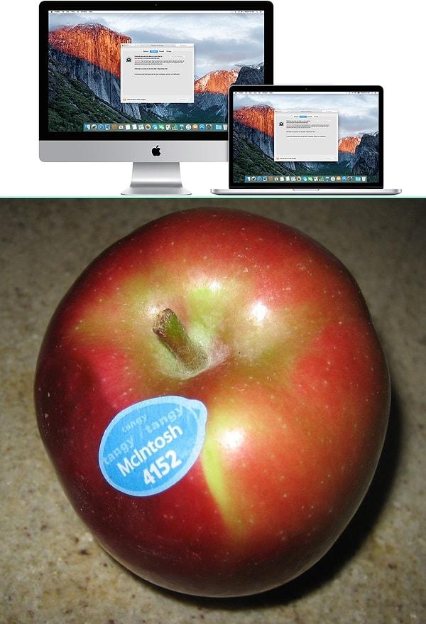 2. Macintosh daha çok Apple ürünü olarak bilinir ancak aslında erken olgunlaşan bir elma türüdür.