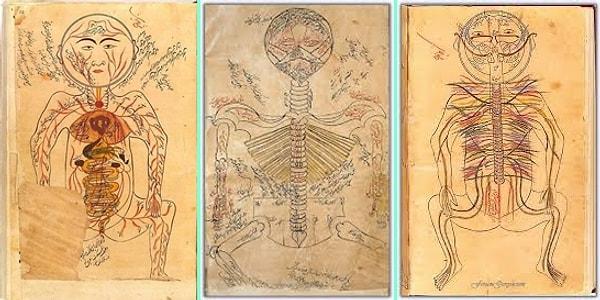 4. İbni Sina tarafından 1000 yıl önce çizilen insan anatomileri: İç organlar, iskelet sistemi, sinir sistemi