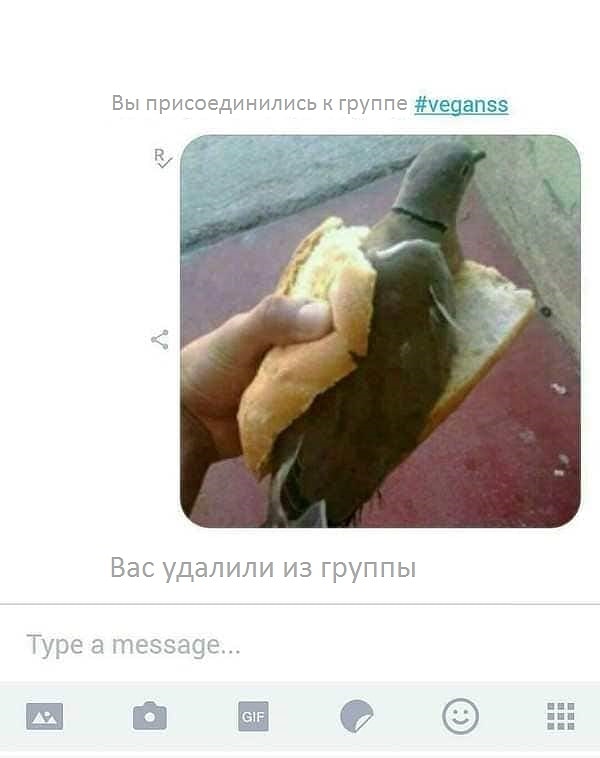 4. Очень краткосрочное внедрение в мир веганов