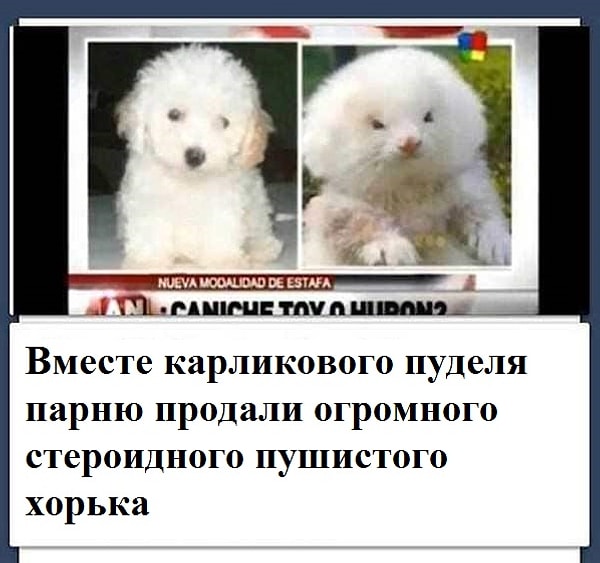 7. Как такое вообще могло произойти! Немыслимо!