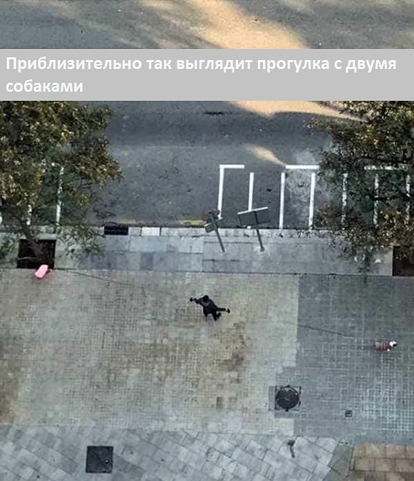 9. Главное, чтобы мужика не разорвало