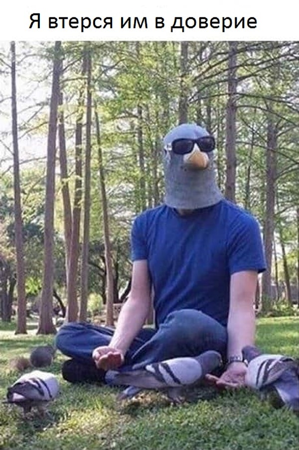 10. "Шел пятый день, они все еще принимали меня за своего..."