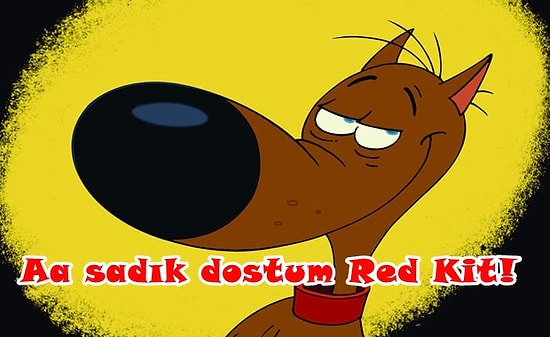 Hayatı Rin Tin Tin Gibi Yaşamamanız İçin Çok Mantıklı 11 Sebep