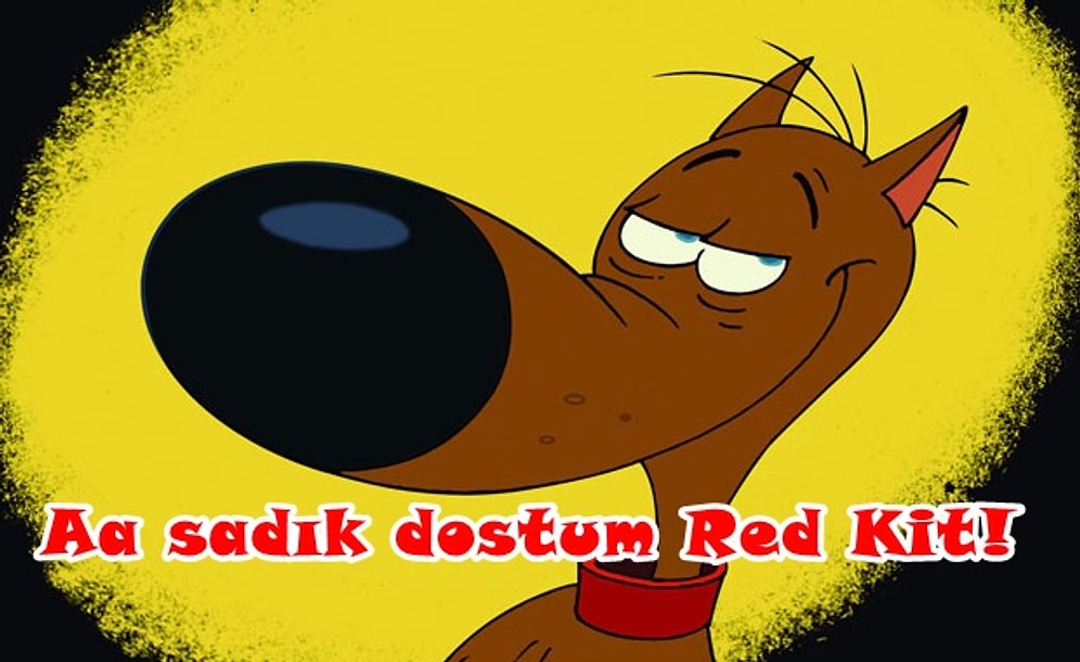 Hayatı Rin Tin Tin Gibi Yaşamamanız İçin Çok Mantıklı 11 Sebep