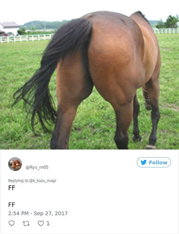 И даже (!!!) с лошадиным бедром...