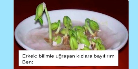 Flört Etmeye Çalışırken Düşülen Komik Durumları Alaya Alıp Güldüren 16 Kişi