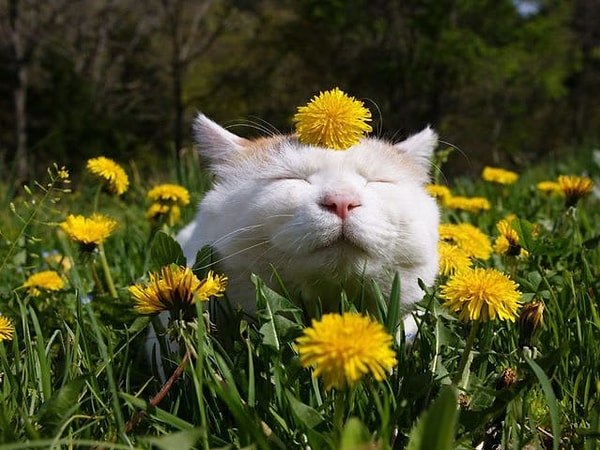 7. Где вы наиболее счастливы?