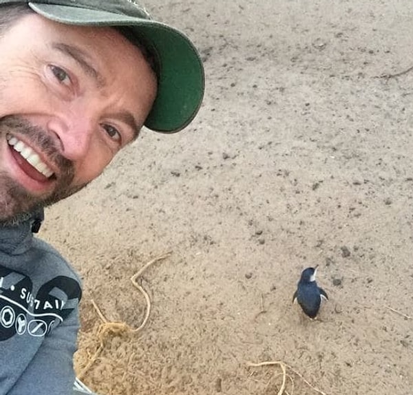 8. Хью Джекман: "Мои навыки селфи ужасны, но только посмотрите на этого детёныша пингвина, и положение тут же будет исправлено..."