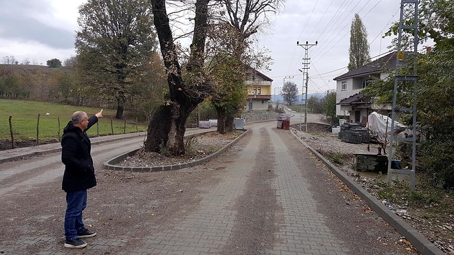 🍁 Çaycuma Belediyesi'nden Alkışlanacak Hareket: 'Meşeler Kesilmesin' Diye Yol Projesi Değişti