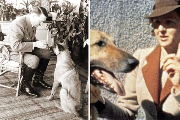 10. Скорее всего, Гитлер выбрал Браун в качестве своей любовницы из-за ее покорного характера и высокой степени лояльности