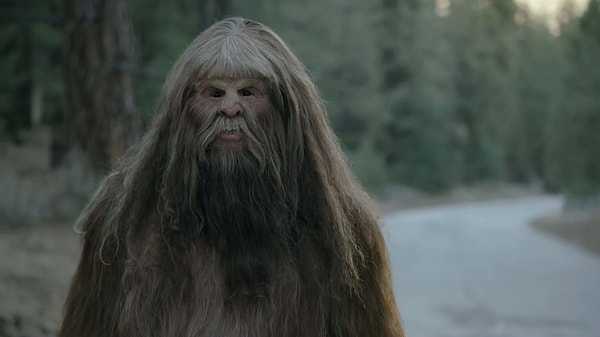 Вы серьезно? Так ведь дела в лесу так не решаются!