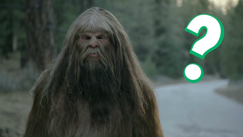 Тест: Сможете ли вы спастись из леса целым и невредимым?