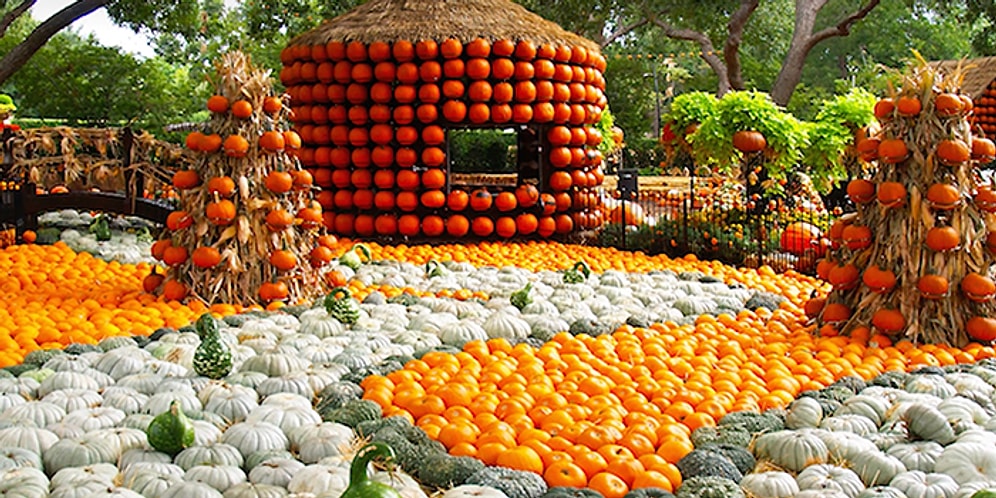 Эта тыквенная деревушка в Далласе выглядит бесподобно!