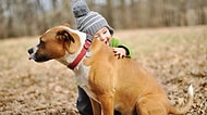 Zaten Biliyorduk, Bilim İnsanları da Doğruladı: Köpekleri İnsanlardan Daha Çok Seviyoruz!