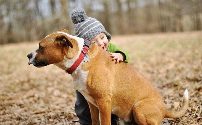 Zaten Biliyorduk, Bilim İnsanları da Doğruladı: Köpekleri İnsanlardan Daha Çok Seviyoruz!