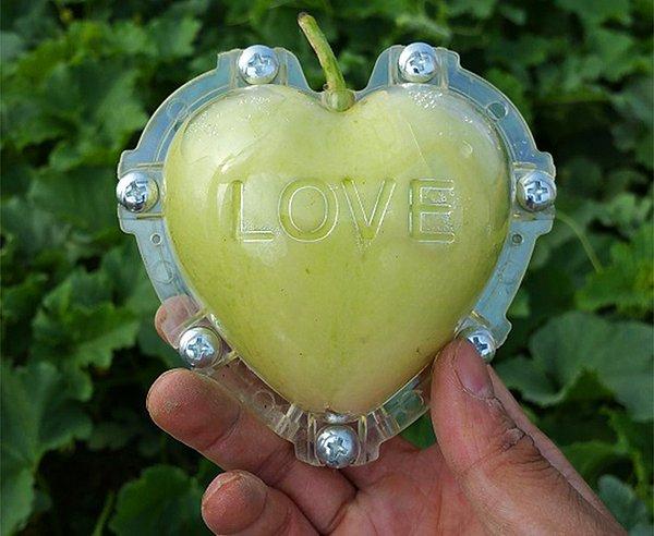 23. Ve aşk için yaratılmış bir elma.