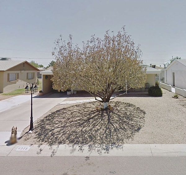 1. Тревожное расстройство может настолько заставить человека бояться внешнего мира, что обычный поход в магазин может стать ужасной проблемой.