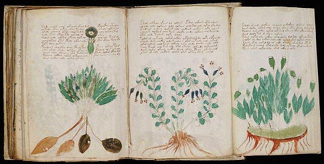 13. There is a 240 paged book called The Voynich Manuscript, it was said to be written in the early 15th century in a language completely unknown.