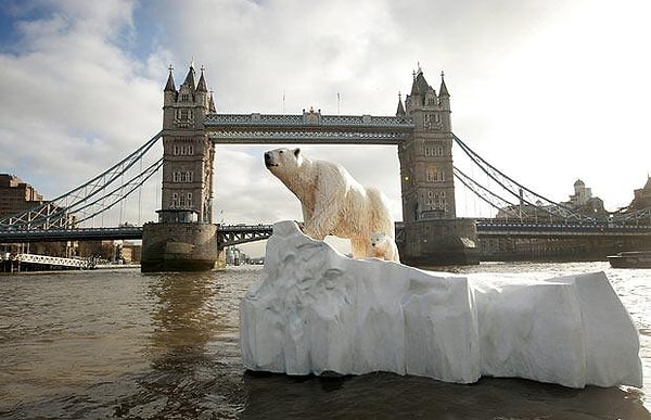 2. В 1251 году король Норвегии подарил королю Англии Генриху III белого медведя. Генрих держал мишку в Тауэре, чтобы тот на длинной цепи мог плавать в Темзе.