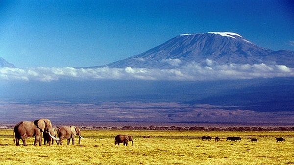 9. И последний вопрос: где находится гора Килиманджаро?