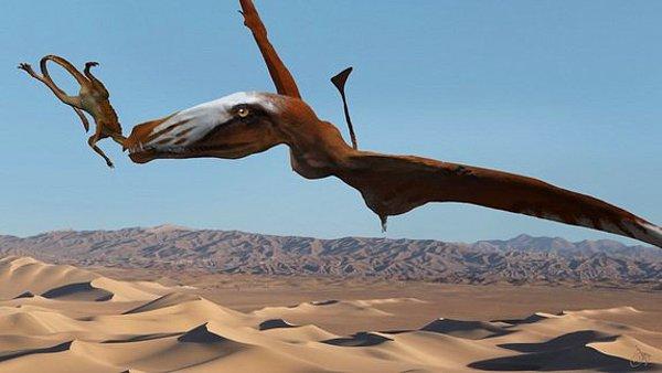 Kanat açıklığı neredeyse 12 metreyi bulan bu dev yaratık Omurgalı Paleontolojisi Dergisi'nde yayımlanan araştırmada anlatıldı.