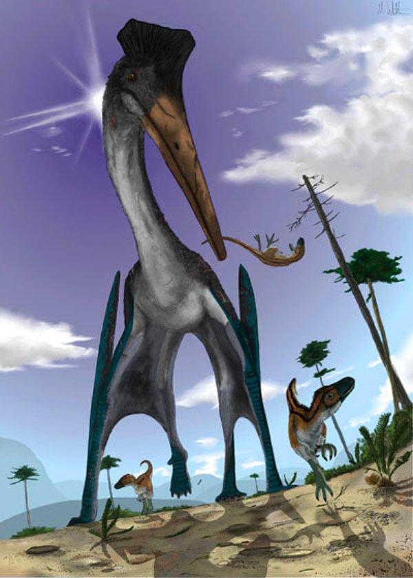 Mesozoik Dönem'in sonlarında yaşamış bir tür uçan-sürüngen grubu olan Azhdarchidae familyasına ait olan bu ilginç yaratık aslında bir "Teruzor".