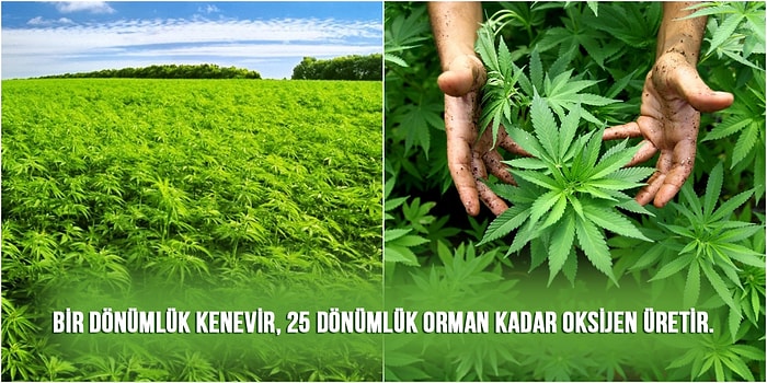 Twitter'ın Genel Kültür Akan Hesabı 'Farklı Gerçekler'den Cahilliğimizi Söküp Alacak 20 Bilgi