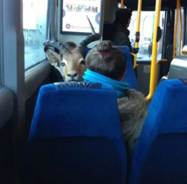 5. С вашей позой всё может быть в порядке, вот только пассажир спереди смущает...