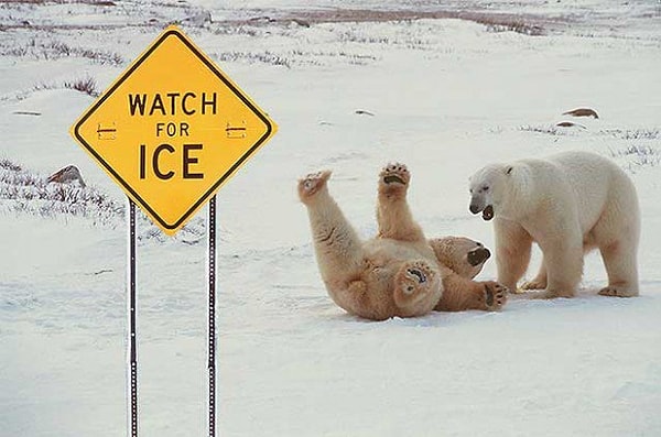 1. Итак, все что вам нужно сделать - это выбрать правильную форму глагола: