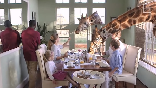 Отель позволяет проживающим находиться близко к жирафам и лично общаться с животными. Точнее, они будут близки с вами.