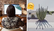 Agorafobisi Olmasına Rağmen Google ile Dünyayı Dolaşıp Saklı Köşelerini Fotoğraflayan Kadın