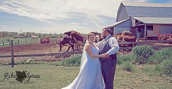 19 свадебных снимков с фотобомбами, от которых молодожены смеялись до слез