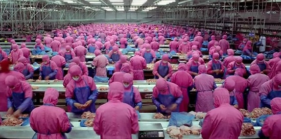 14 сногсшибательных документальных фильмов, меняющих мировозрение