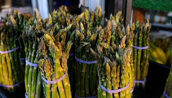 1. Итак, что это за растение?