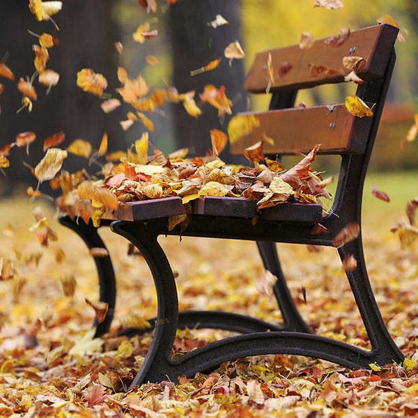 Больше всего вы любите хрустящий осенний воздух!