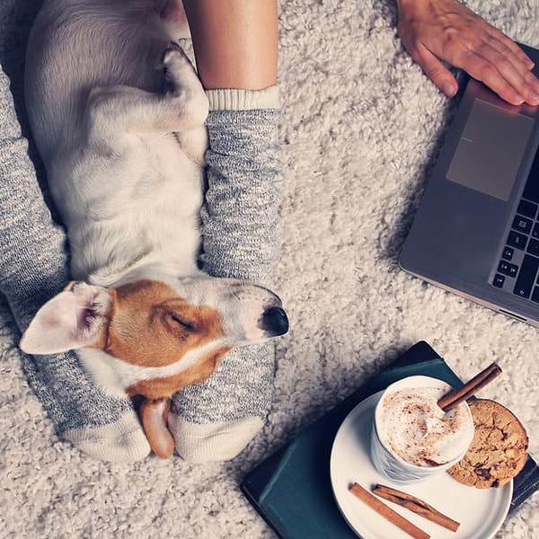 Больше всего вы любите, что это сезон обнимашек и шумных сборищ!