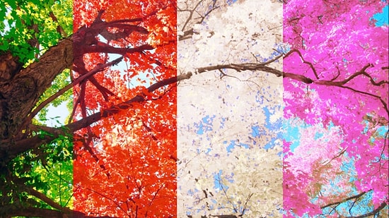 8 Rastgele Soruya Göre Hangi Mevsimde Doğduğunu Tahmin Ediyoruz!