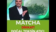 FAZLALIKLARI ERİTEN ÇAY REKOR KIRIYOR