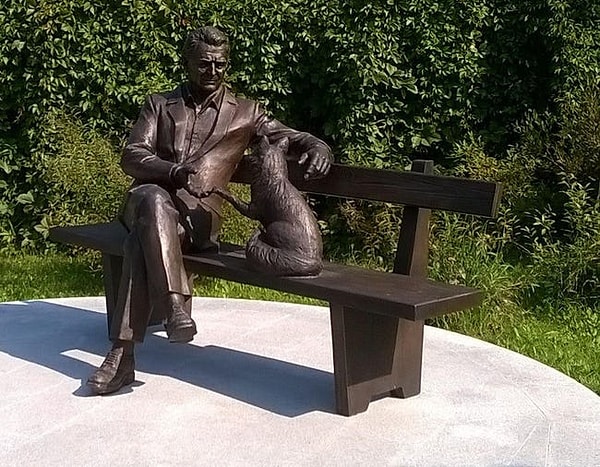 4. Все началось с желания побольше узнать о собаках.