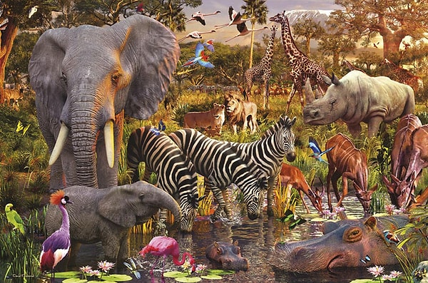 9. Кто из этих животных обитает сразу в двух средах?