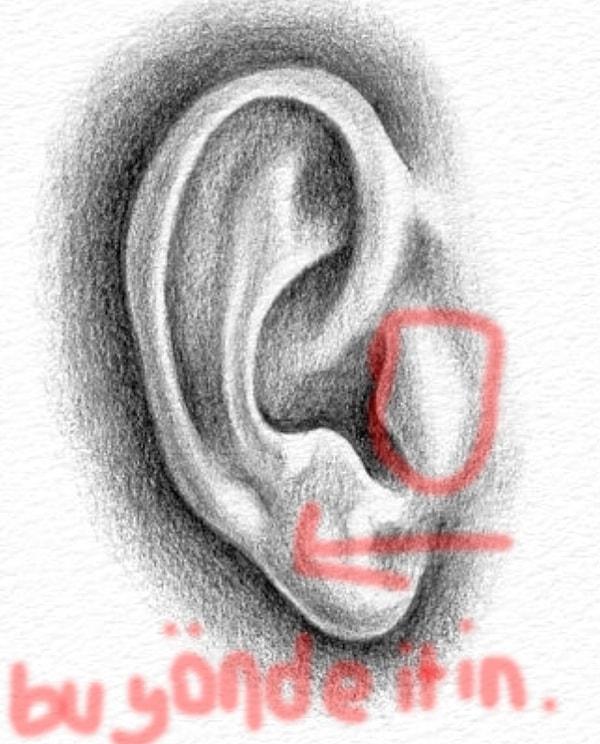 5. Sesli bir odada yanınızda konuştuğunuz kişiyi daha iyi duyabilmek için, kulağın kanada benzer kısmını geriye doğru çekip, kulağın içine doğru bastırın.