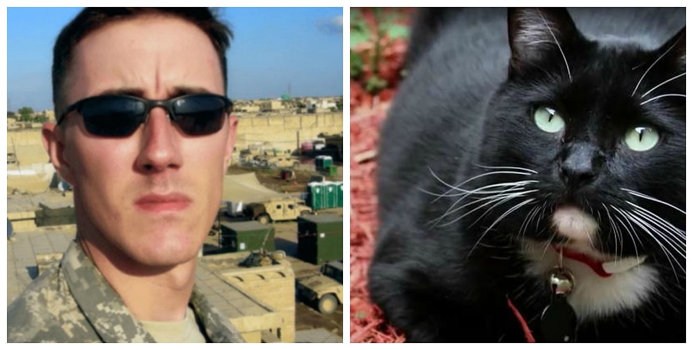 Бездомный кот спас ветерана от самоубийства: история о невероятном чуде и дружбе