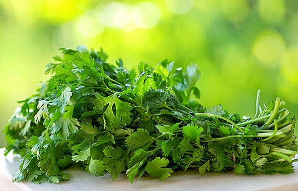 4. Кинза - это тоже самое, что и кориандр?