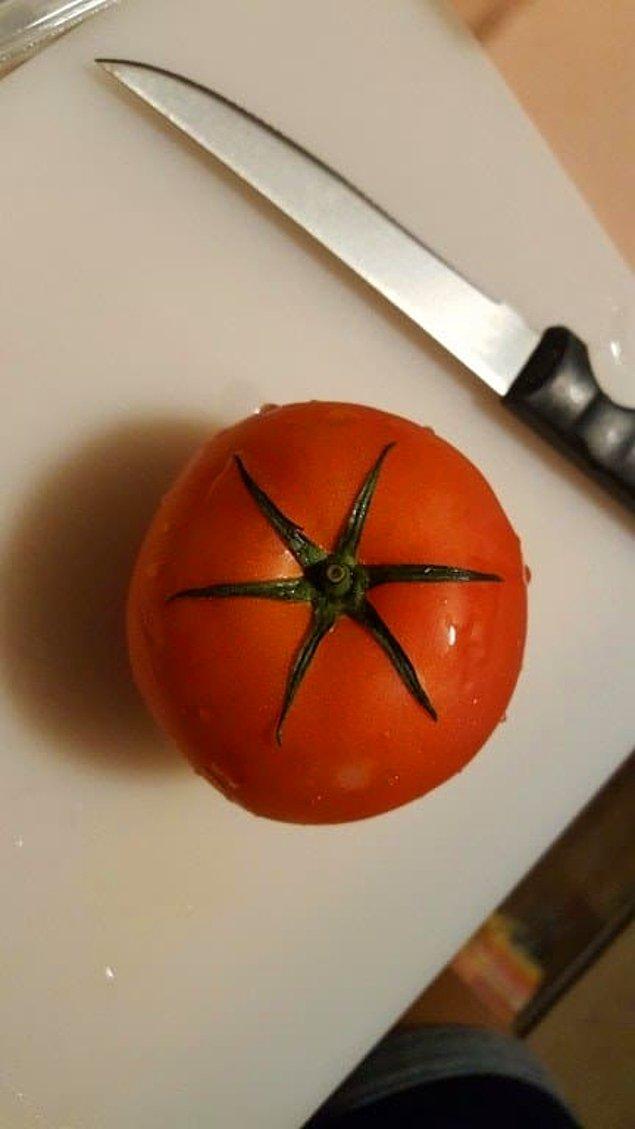 14. Bu domates güzellik yarışmasına katılsın!
