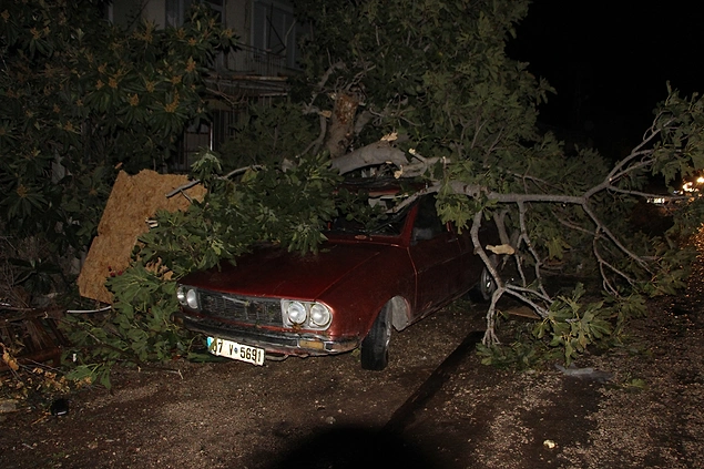 Kemer ilçesinde ise yağmur ve fırtına nedeniyle Atatürk Caddesi'ndeki ağaçlar devrildi.