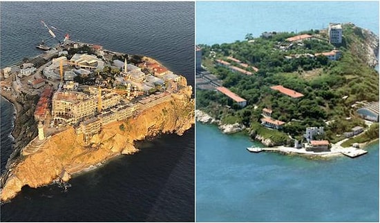 Ağaçlar Betona 'Dönmeli' Yurdumda: Yassıada'daki Son Durum Tepkilerin Odağında