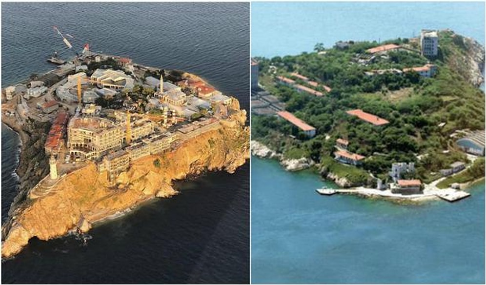 Ağaçlar Betona 'Dönmeli' Yurdumda: Yassıada'daki Son Durum Tepkilerin Odağında