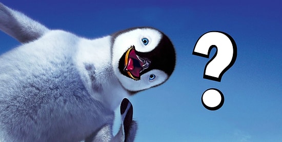 Пройдите этот тест и узнайте, какой вы пингвин!