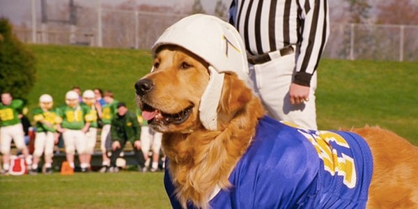 21. Бадди из "Короля воздуха"